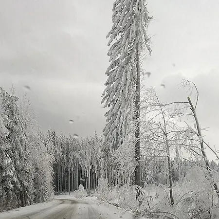 U Jesterky Se Saunou V Cene, Rejvizska 29, Jesenik
