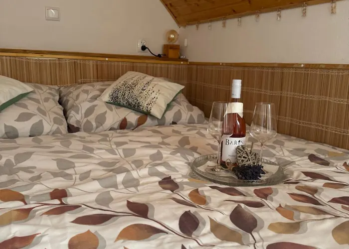 U Ještěrky Se Saunou V Ceně, Rejvízská 29, Apartmán *